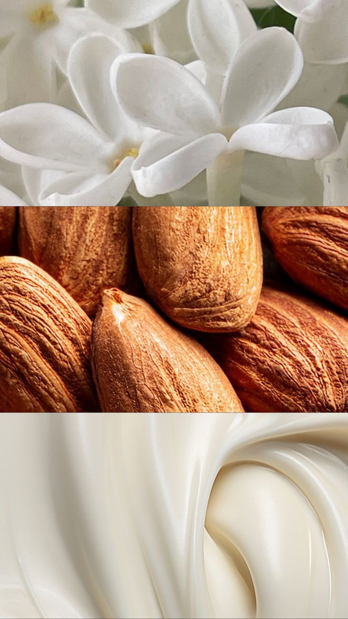 Jasmine, Vanilla & Almond