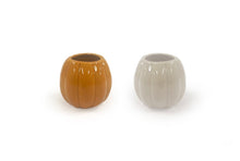 Load image into Gallery viewer, Mini Pumpkin Duo
